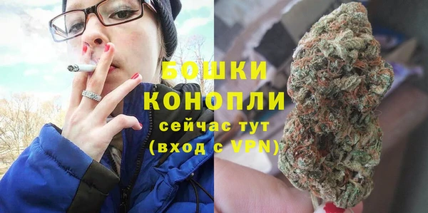 мдпв Рославль