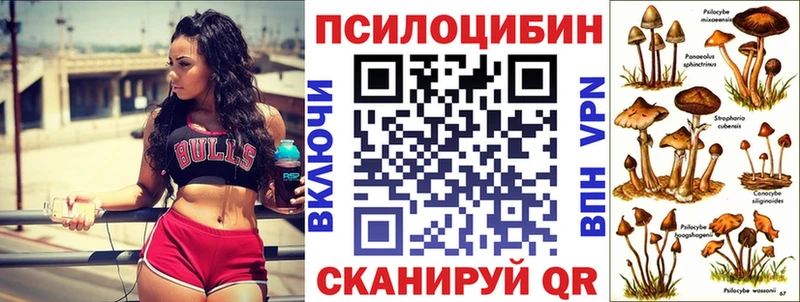 Псилоцибиновые грибы Magic Shrooms  что такое   shop телеграм  Кизляр 